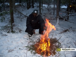 In the woods...