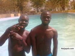 5 star pool