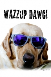 whats up dawg?
