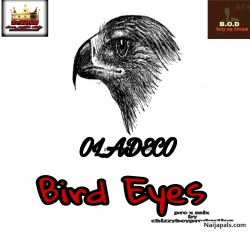Bird eye by OLADECO