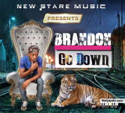 GO DOWN_(prod.shavo-lord) by BRANDON_(new star music)