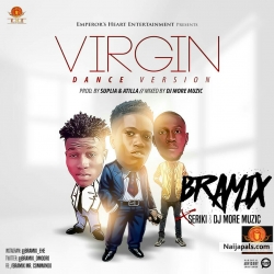 Virgin remix (problem dance) prod by atilla by BRAMIX ft. Seriki & Dj MoreMuzic 