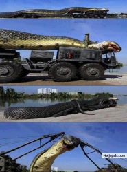 wooooooooooooooo