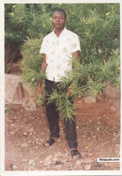 T Zeal