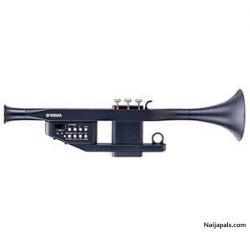 Electronic yamaha