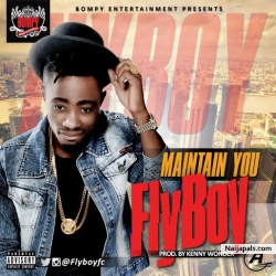 Maintain by Fly Boy