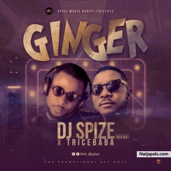 Ginger by DJ Spize X Trice Baba
