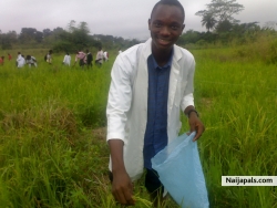 Oluwasoyin Emmanuel (Femisgn)