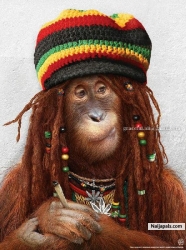 Rasta d 1st