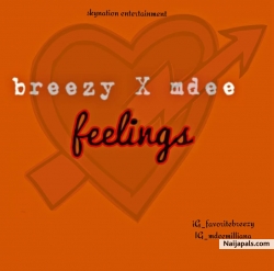 Feelings by Breezy ft Mdee