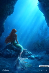 under my sea. 