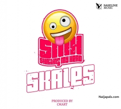Shaking My Head (SMH) by Skales