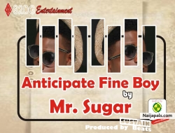 Mr. Sugar S2DG Entertainment Fine Boy
