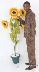 my picture