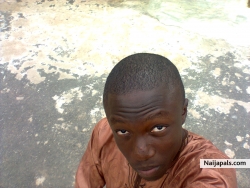 My Picture