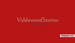 ViddawoodStories 