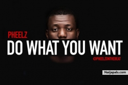 Do What You Want by Pheelz