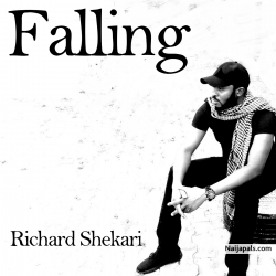 Falling by Richard Shekari 