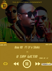 You Say Wetin by Baw AD ft LY x Sheks