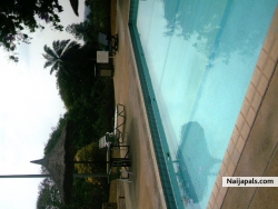 emmy's pool