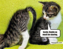 thanks for sharing ..lol