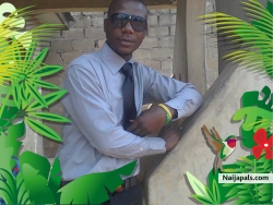 Bright igele