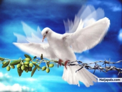 feel de peace