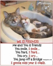 best of friends