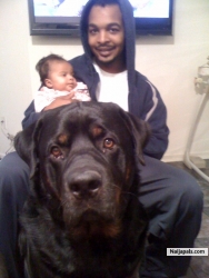 my niece, her dad, her dog