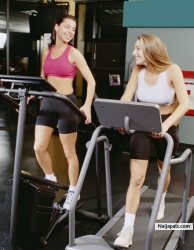 The Exercises (theexercises)
