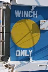 only winch(witch) pls
