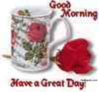 morning dear