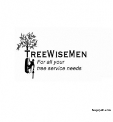 Treewisemen