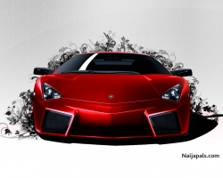 My Picture
