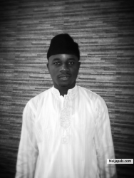 ibrahim tofa (ibrahimtofa)