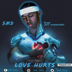 LOVE HURT by SMD Yang