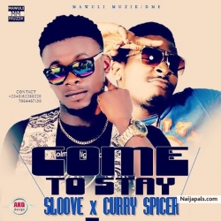 come to stay by sloove x curry spicer