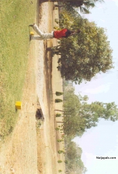 PLAYING GOLF