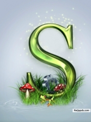 s