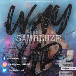 Way Up by Sambluze 