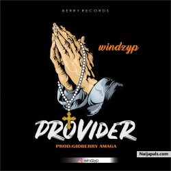 Provider by Windzy P