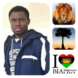 Elijah Onyenmeriogu 