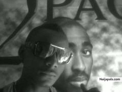 10bevygz (10bevygz)