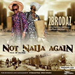 Not Naija Again by 2brodaz 