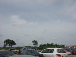 bala ahmed 