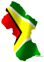 my country shape and flag colour in one