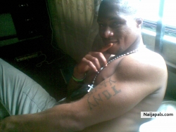 My pet days