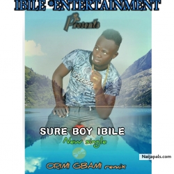 All about ibile entertainment 