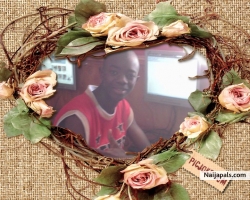 dembo camara (demsib)