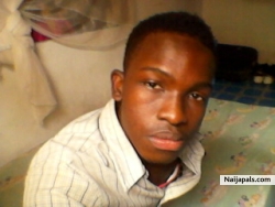 seein tinx